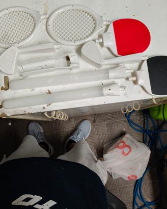 accessori per Nintendo Wii 