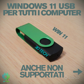 USB Windows 11 + assistenza gratis