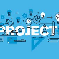 Project/program manager