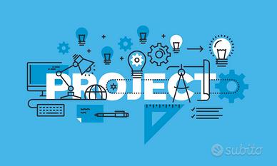 Project/program manager