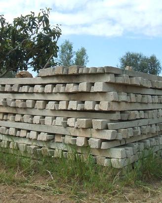 Pali in cemento per vigneto