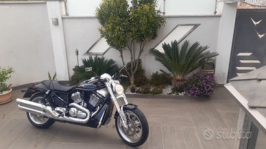 V-rod Harley Davidson