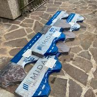 Tegole canadesi