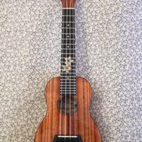 Ukulele  Concerto Kanile'a Hawaiano