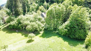 RUSTICO A PRATO CARNICO