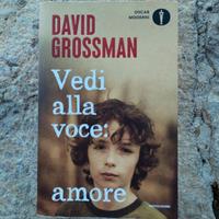 libro Vedi alla voce: amore di David Grossman 