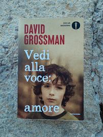 libro Vedi alla voce: amore di David Grossman 