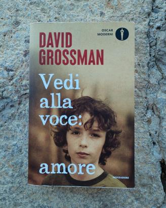 libro Vedi alla voce: amore di David Grossman 