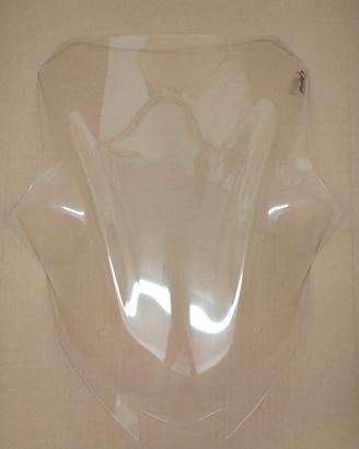 Cupolino Racing Puig Kawasaki Ninja 1000 SX