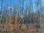Immagine 12