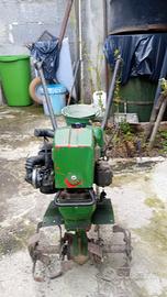 motozappa verde Ducati 