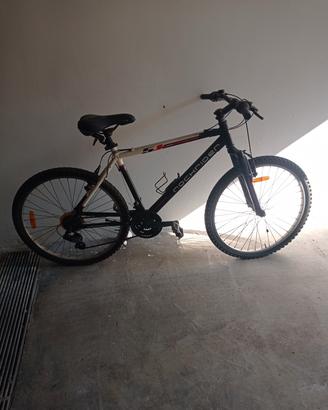 bicicletta mtb