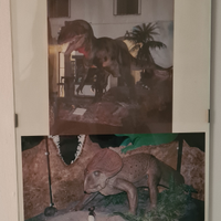 Quadro incorniciato dinosauri 30x20cm