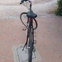 bicicletta sportiva 