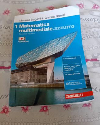 libro di matematica ..multimediale.azzurro 