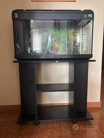 Acquario con mobile