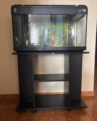 Acquario con mobile