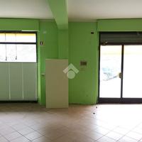 NEGOZIO A TRAVERSETOLO