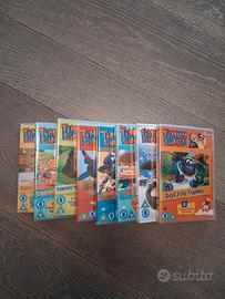 DVD Timmy Time