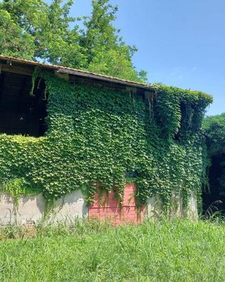 Rustico / Casale di 80 m² con 3 locali a Molinella