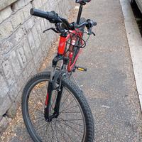 MTB Moonster