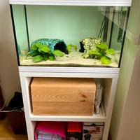 Acquario Askoll Pure White misura L con mobile