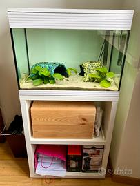 Acquario Askoll Pure White misura L con mobile