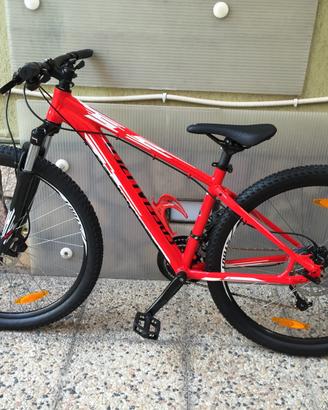 Bici MTB