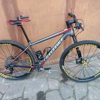 cannondale 29 FSI