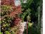 Immagine 14