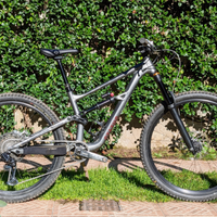 Specialized Status Mullet 2021
