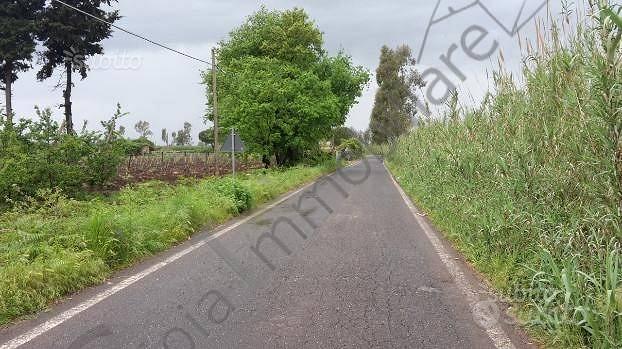 Terreno di 6666 m² a Cellole - Vista 5
