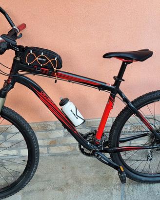 bici tecnica specialized 