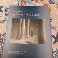 Il mondo di Cesare Angelini