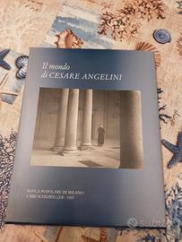 Il mondo di Cesare Angelini
