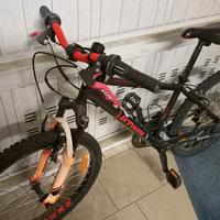 mtb ruota 24 ragazzo