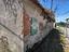 Immagine 13