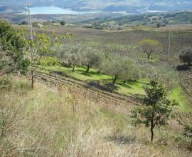 Terreno Agricolo - Guardialfiera