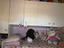 Immagine 5