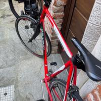 Bici da corsa Da-Vinci (Cambio Campagnolo 9v) - Id