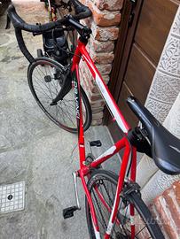 Bici da corsa Da-Vinci (Cambio Campagnolo 9v) - Id