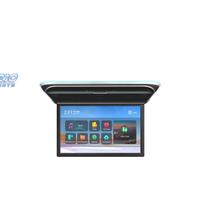 SCHERMO PER TETTO FULL HD DA 17,3"