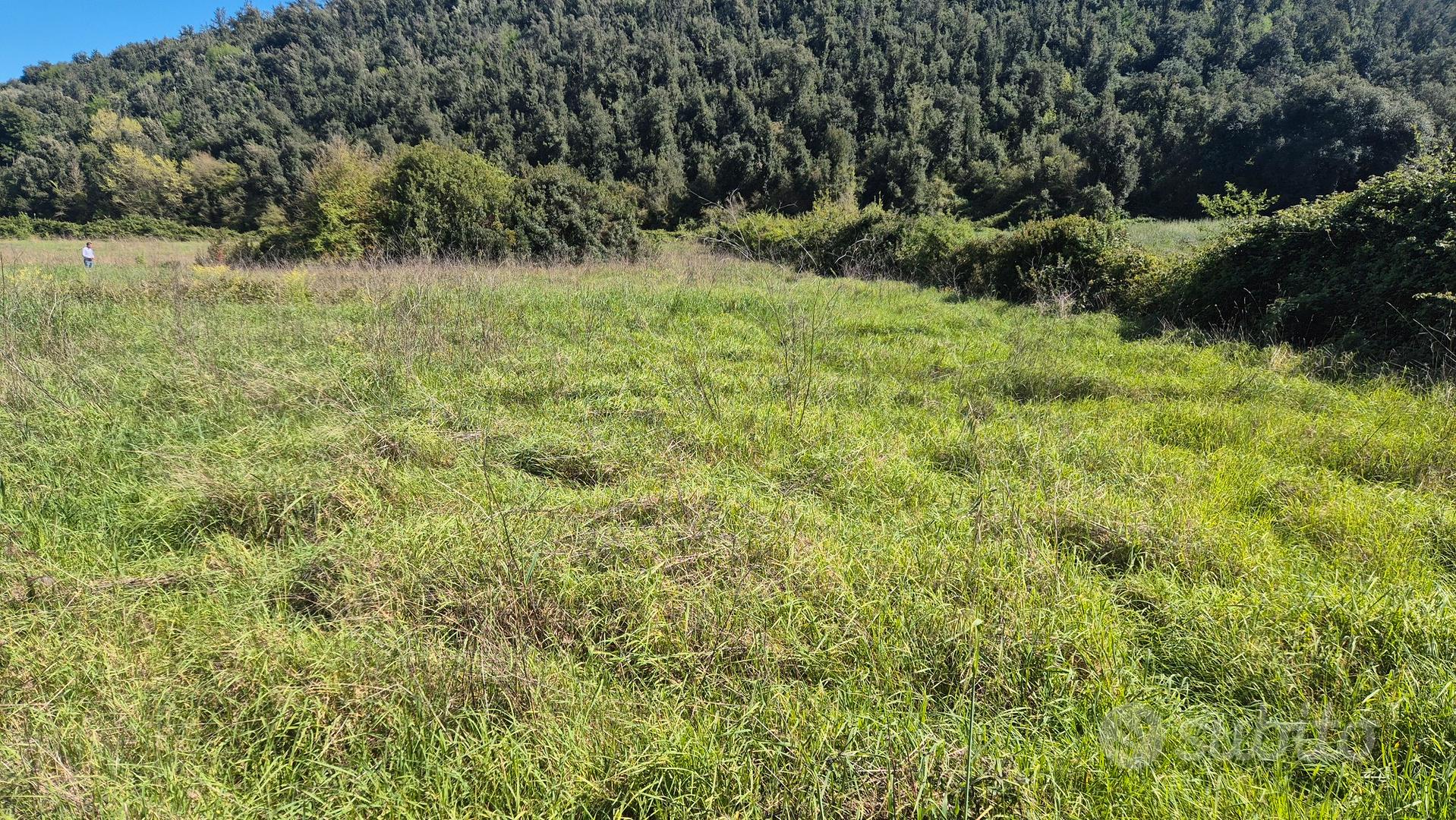 Terreno agricolo - Vista 2