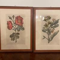 Quadro arredamento rose interno