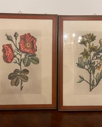 Quadro arredamento rose interno