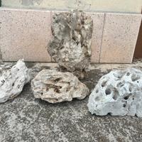 Rocce acquario pesci