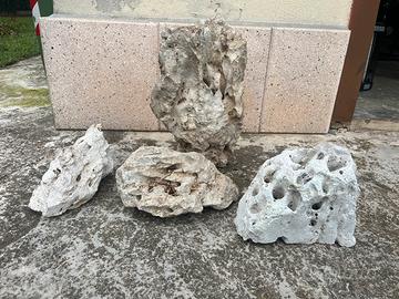 Rocce acquario pesci