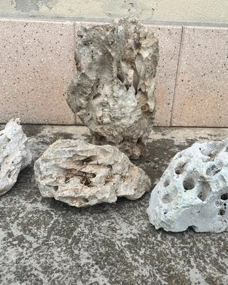 Rocce acquario pesci