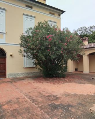 Soluzione Business: Villa con 6 camere per aziende