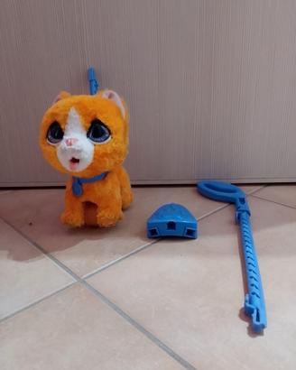 Gatto con guinzaglio viola